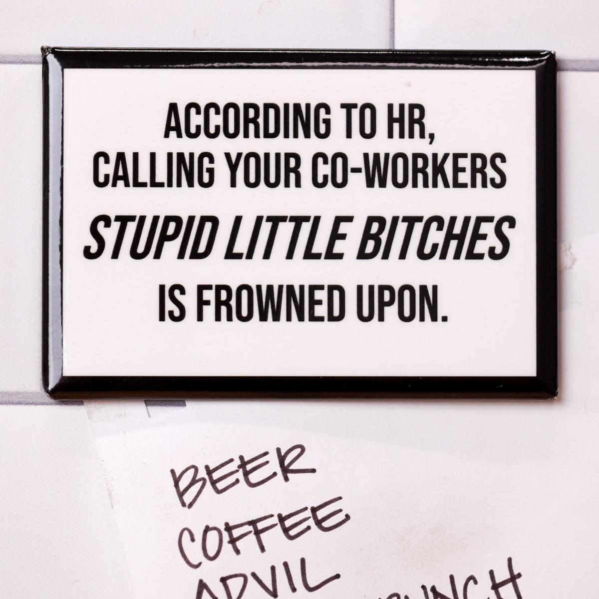 Stupid Little Bitches... Magnet. Case Pack of 8