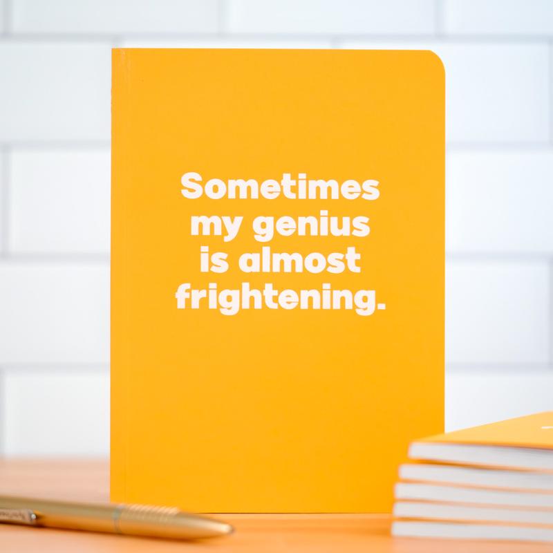 My genius is almost frightening... Notebook. Case Pack of 6